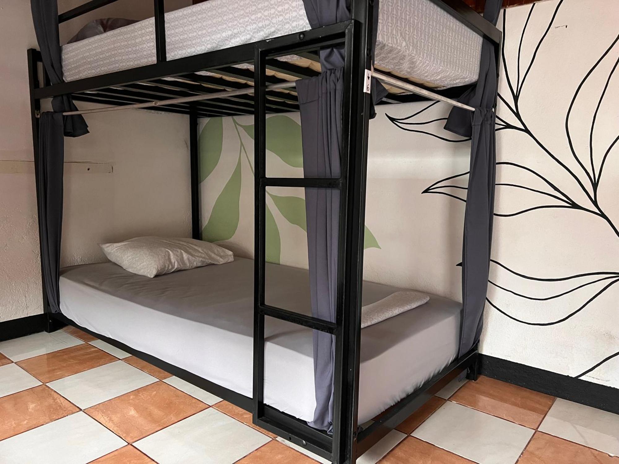 Rio Danta Hostel La Fortuna Dış mekan fotoğraf