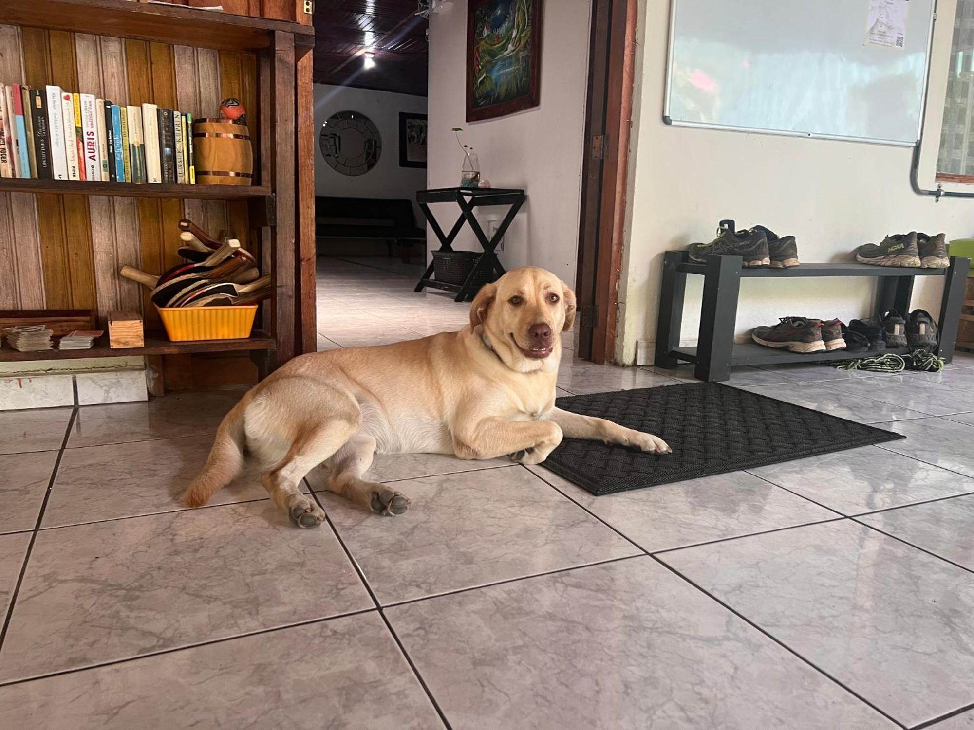 Rio Danta Hostel La Fortuna Dış mekan fotoğraf