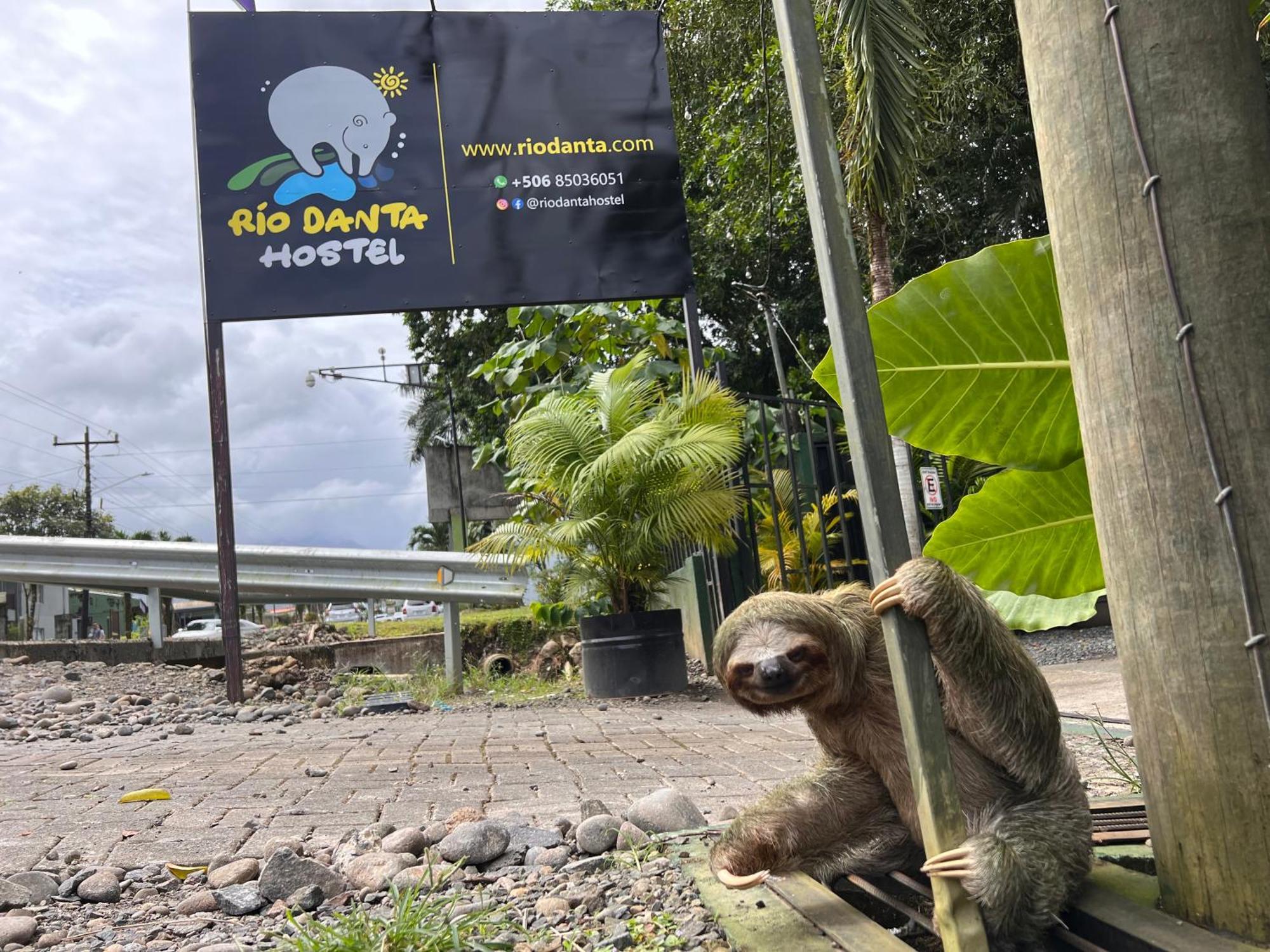 Rio Danta Hostel La Fortuna Dış mekan fotoğraf
